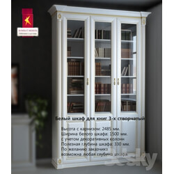 Wardrobe Display cabinets Combat White bookcase 3 flap 