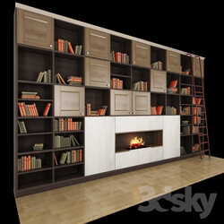 Wardrobe Display cabinets Wall with electric 