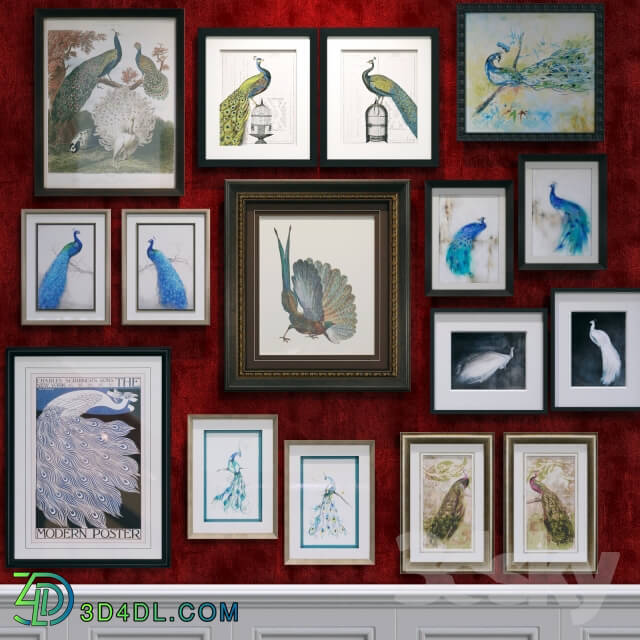 Peacocks Paragon Framed set