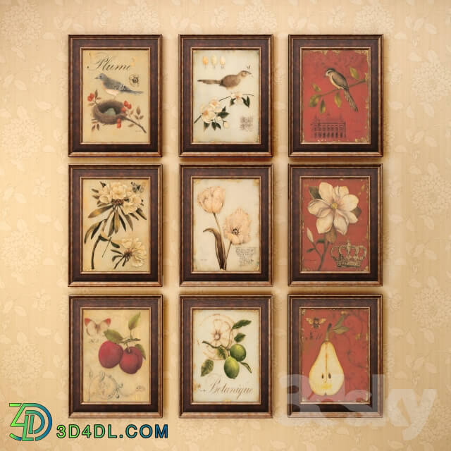 The picture in the frame 13 pieces collection 62 Birds