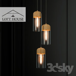 Hanging lamp LOFT HOUSE P 166 Pendant light 3D Models 