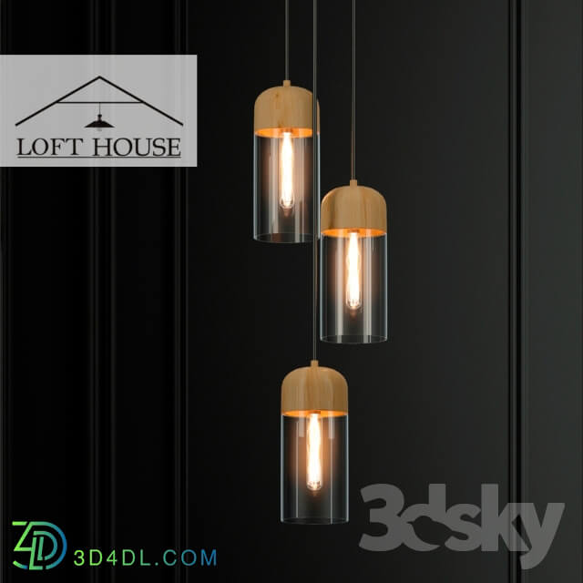 Hanging lamp LOFT HOUSE P 166 Pendant light 3D Models