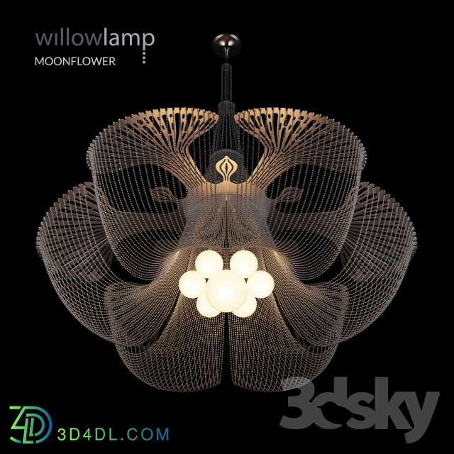 Willowlamp Moonflower