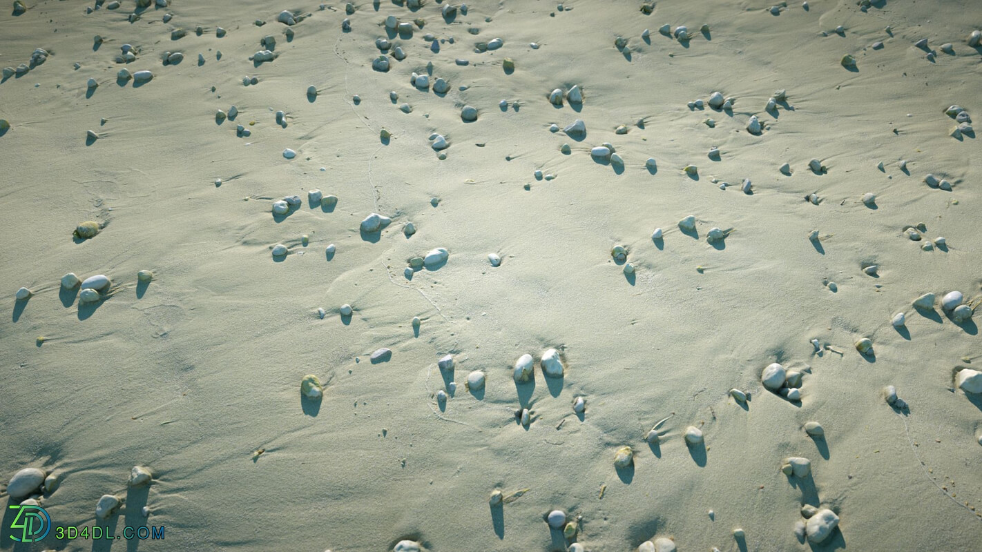 RD textures Sand 08 Beach