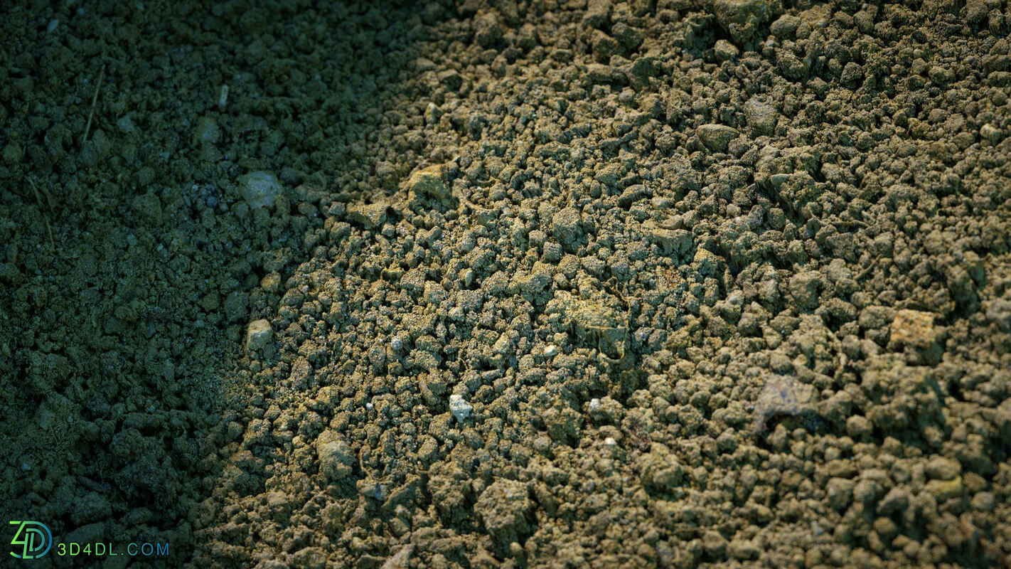 RD textures Soil 08 Micro