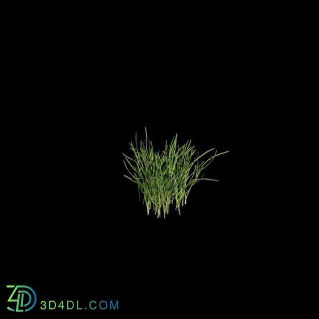 VizPark Real Grass Poa pratensis v3