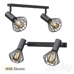 Lamp MSK Electric Diadem NL 22151 2 3D Models 3DSKY 