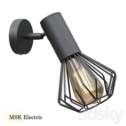 Wall light - Loft lamp MSK Electric Diadem NL 22151-1 