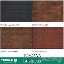 Miscellaneous - OM Seamless texture of TEGOLA shingles. BUSINESS category. TOSCANA collection 