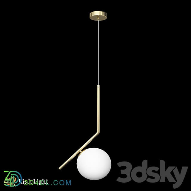 Pendant light - Gimbal Coin 07626-20B