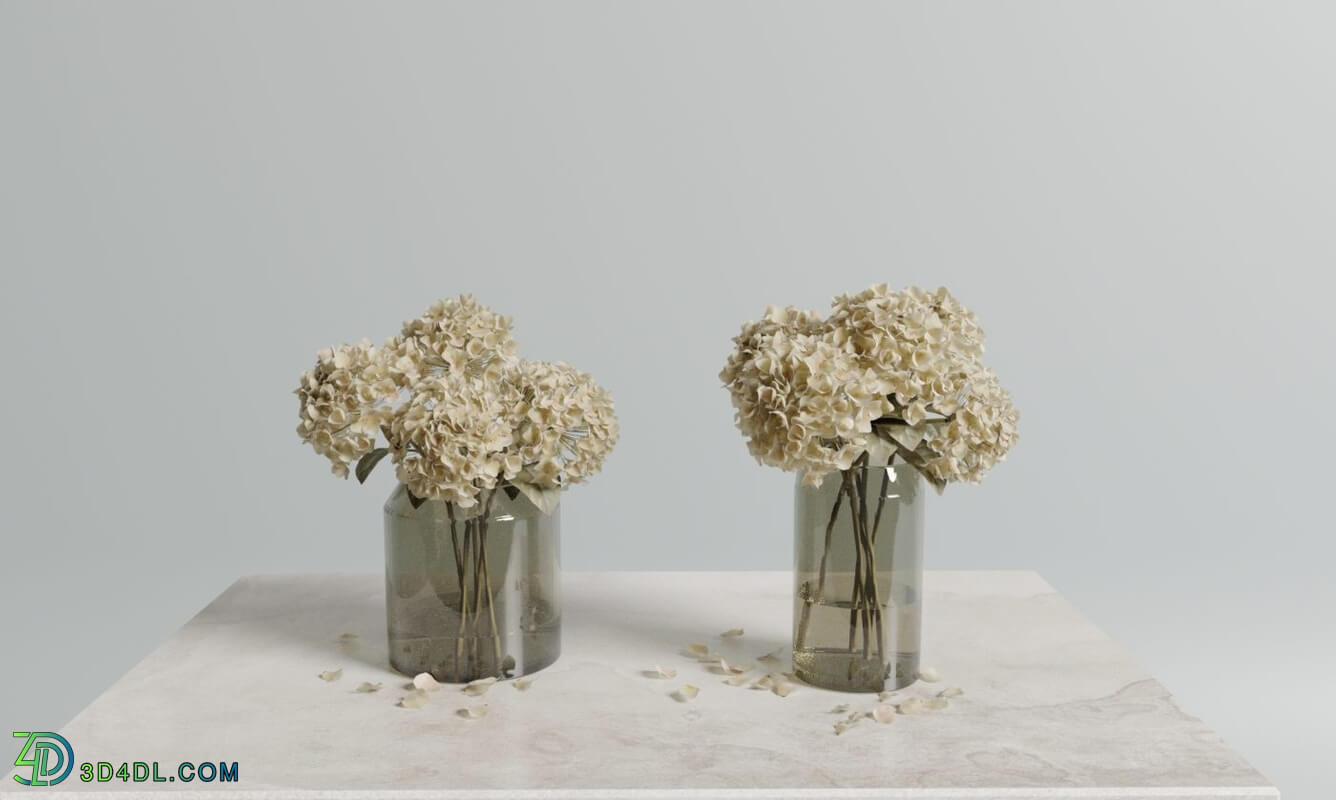 CGMood Dried Hydrangeas