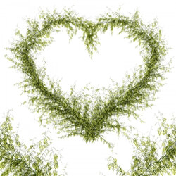 CGMood Heart From Leaves 
