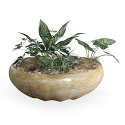 CGMood Plant Pot 