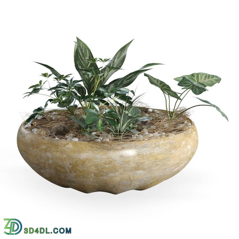 CGMood Plant Pot