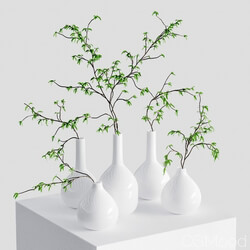 CGMood The Branches In The Vases 