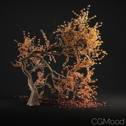 CGMood Tree N7 