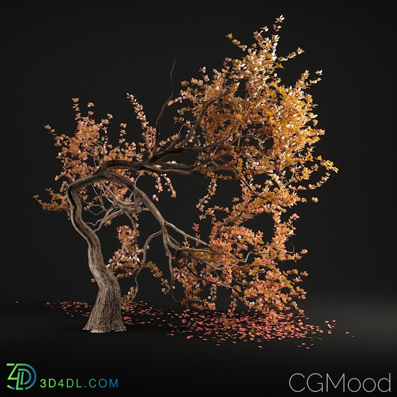 CGMood Tree N7