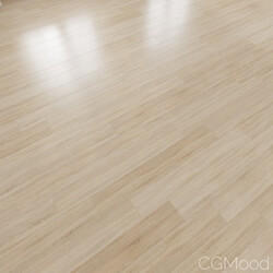 CGMood Wood Planks 