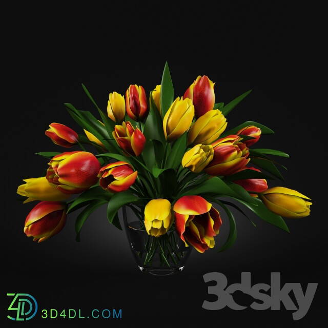Plant Vase with tulips
