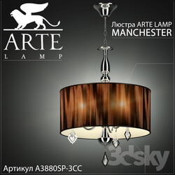 Chandelier Arte lamp Manchester A3880SP 3CC 