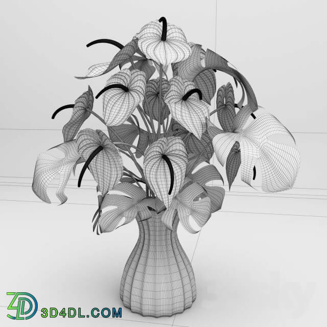 Anthurium color flower 3D Models