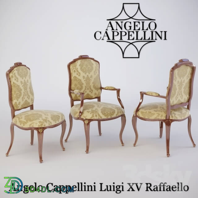 Angelo Cappellini Raffaello Chair amp armchair