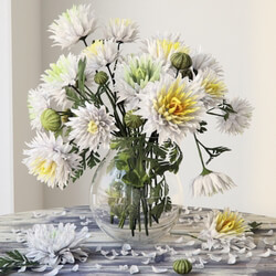 Plant - Chrysanthemums 