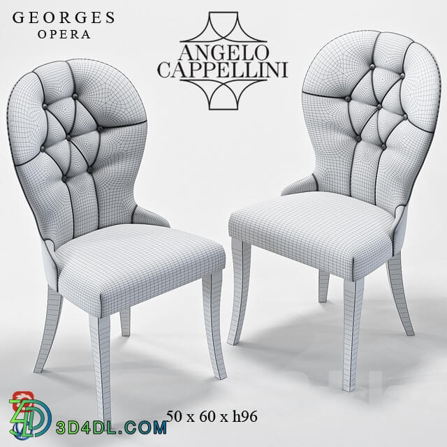 Angelo Cappellini GEORGES
