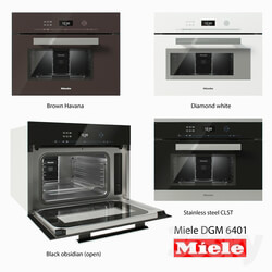 Steamer with microwave oven Miele DGM 6401 