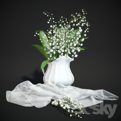 Plant Lily of the valley in vase 