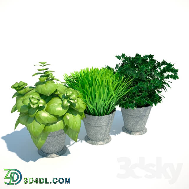 Plants for kuhni2 3D Models
