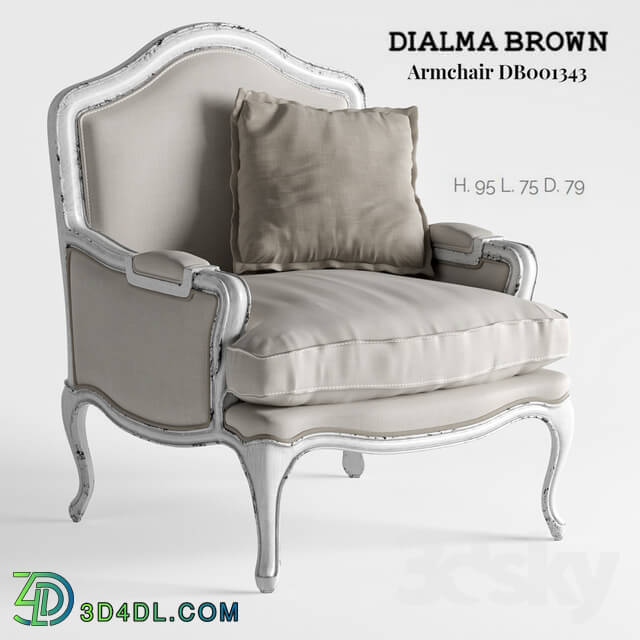 Dialma Brown Armchair DB001343