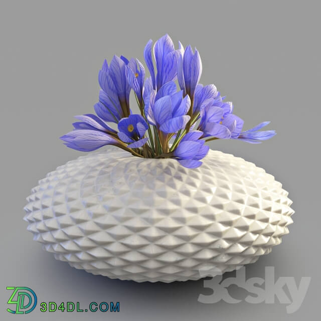 Plant Vase with crocuses