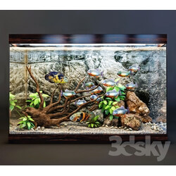Other decorative objects - Aquarium 