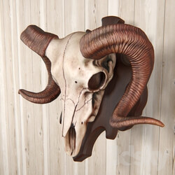 Other decorative objects - ram skull with wall mount 