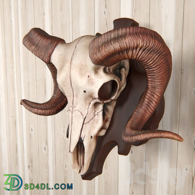 Other decorative objects - ram skull with wall mount