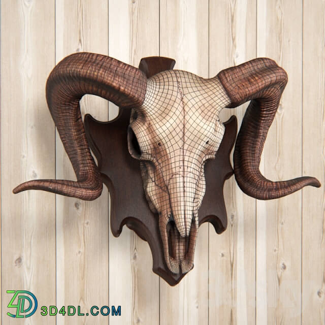 Other decorative objects - ram skull with wall mount