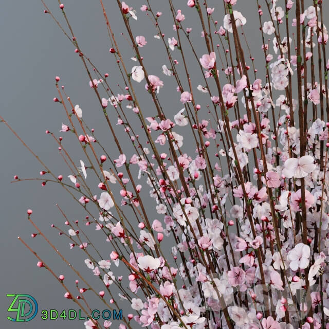 Plant A large bouquet of cherry in the Chinese vase.