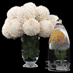 Bouquet - Chrysanthemums 1 