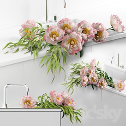 Peonies in sink 