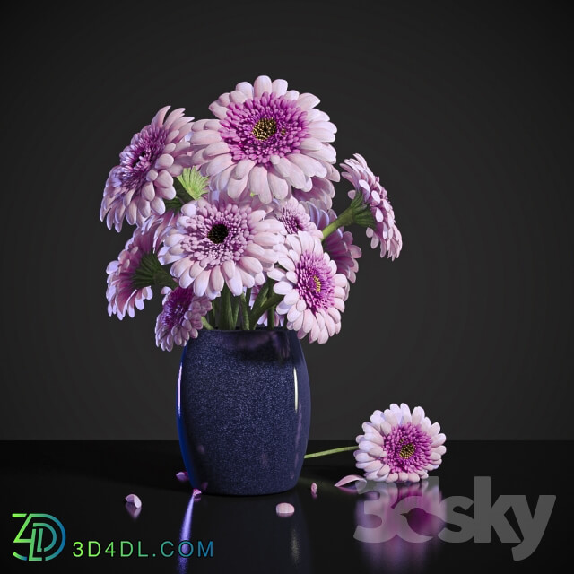 Plant PINK DEW GERBERA