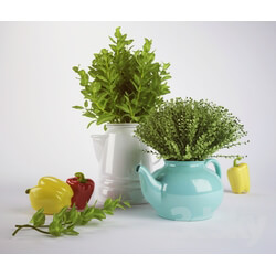 Other kitchen accessories - Greens teapots 