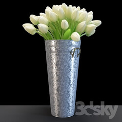 Plant White tulips in a galvanized container 
