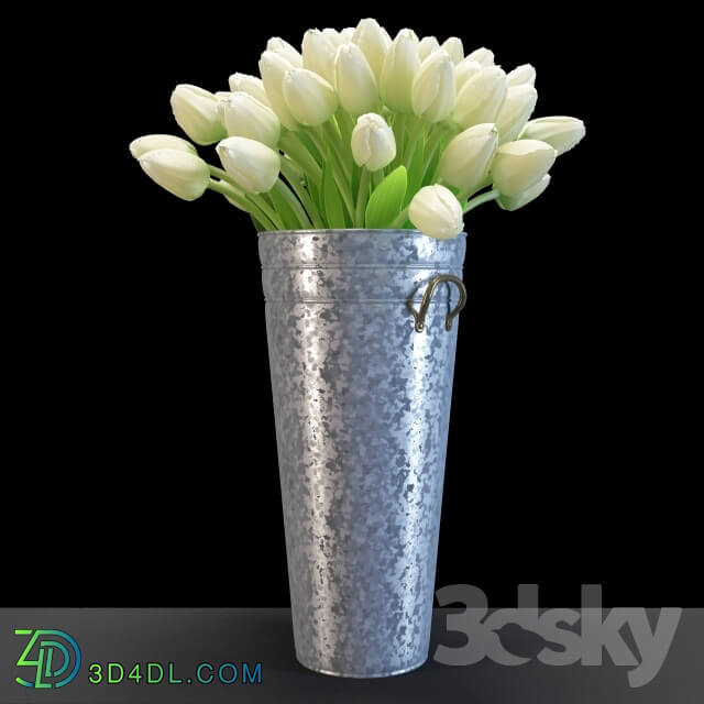 Plant White tulips in a galvanized container