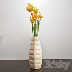 Plant Yellow tulips 