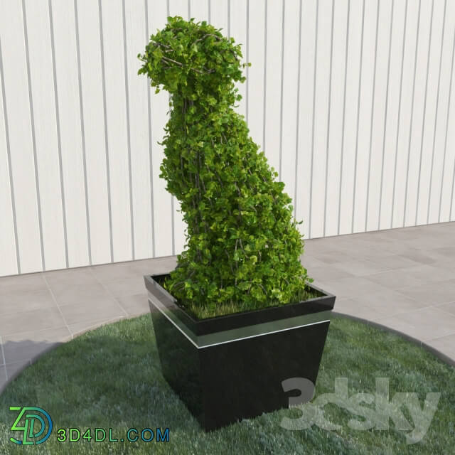 Plant Dog topiary