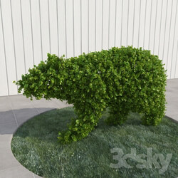 Plant Bear topiary 