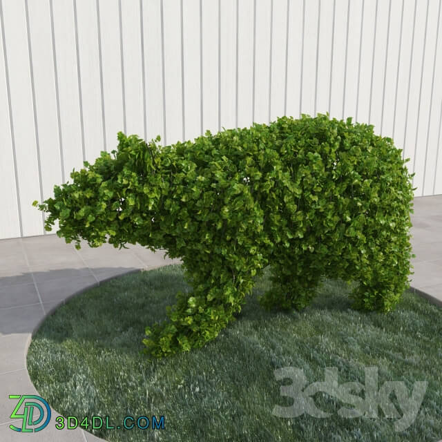 Plant Bear topiary