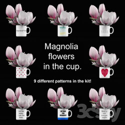 Plant Magnolia in the cup 