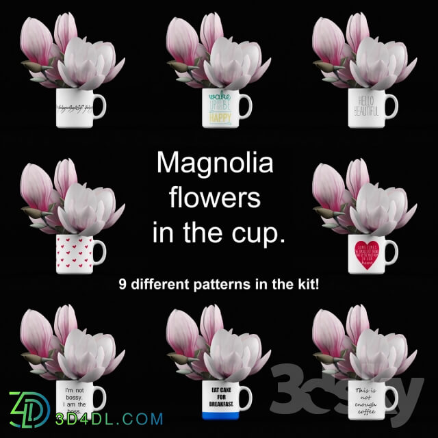 Plant Magnolia in the cup